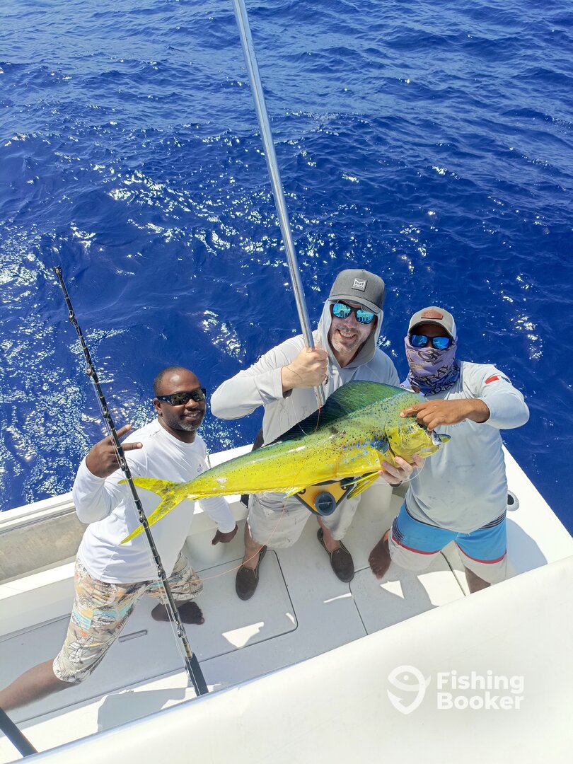 Punta Cana Report Photo 0