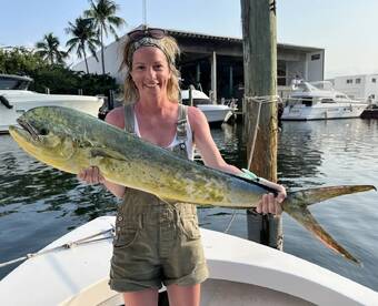 Mahi and king mackerel on the move! 