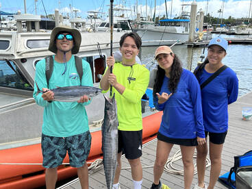 Haleiwa Report Photo 2