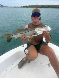 Snook are here!