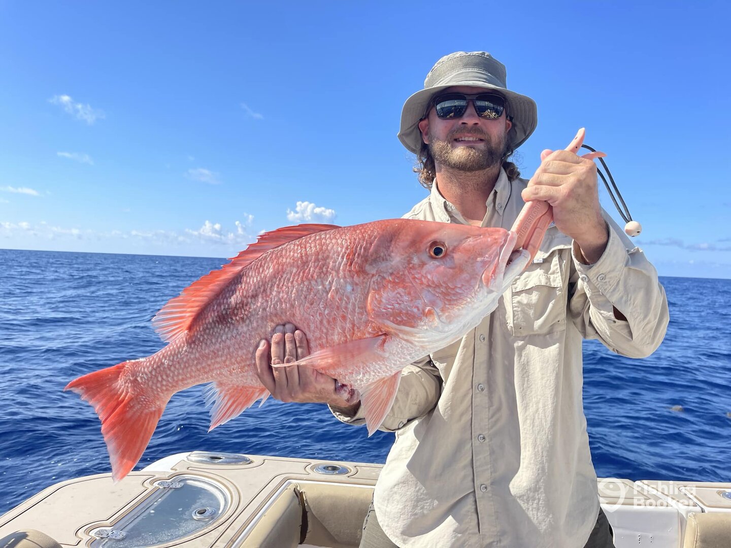 American Red Snapper