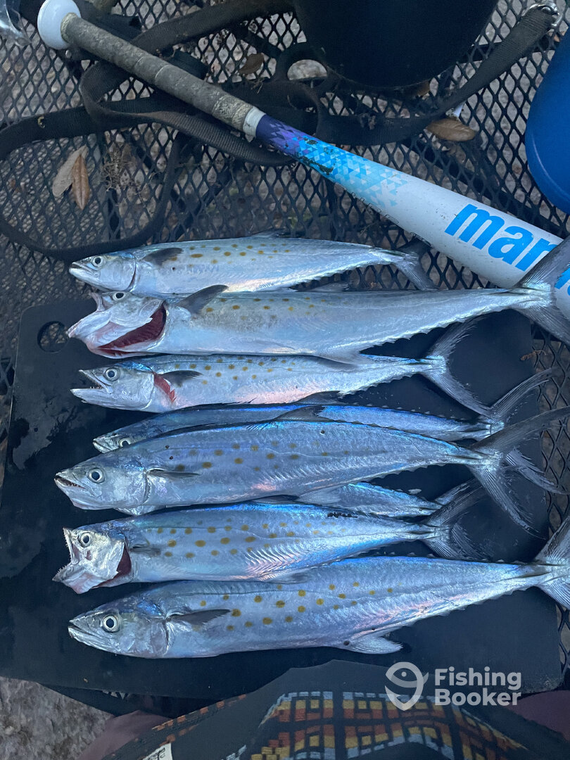 Morehead City Report Photo 0