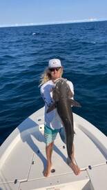COBIA BLITZ