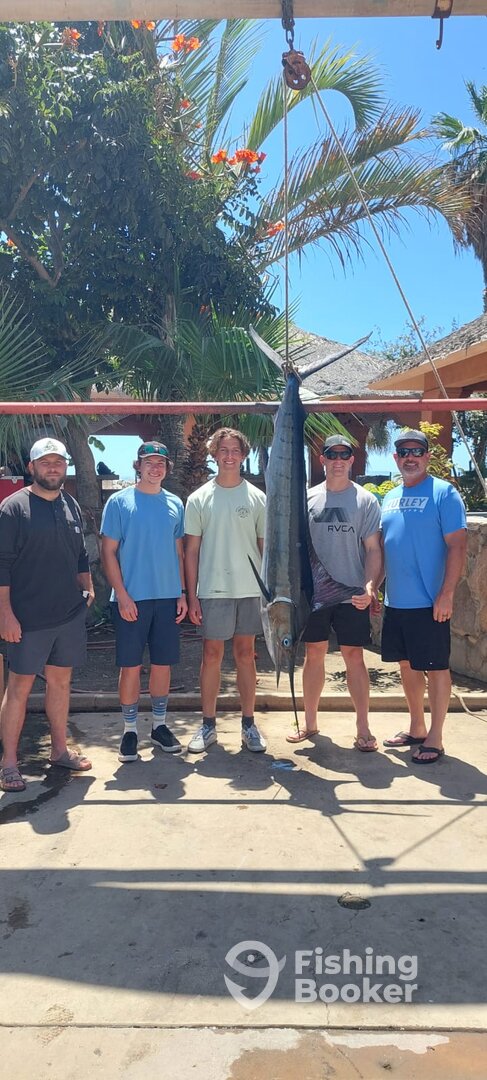 San Jose del Cabo Report Photo 0