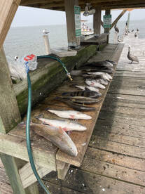 Galveston Bay