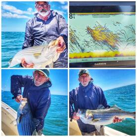 Fishing has been off the hook.