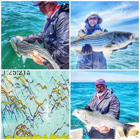 Montauk Report Photo 2