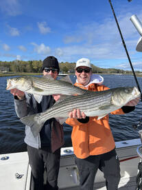 CONSTANT STRIPED BASS ACTION