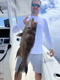 Great eating fish are being caught on al