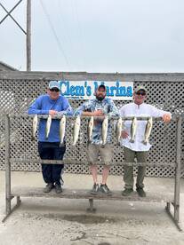 Corpus Christi Report Photo 2