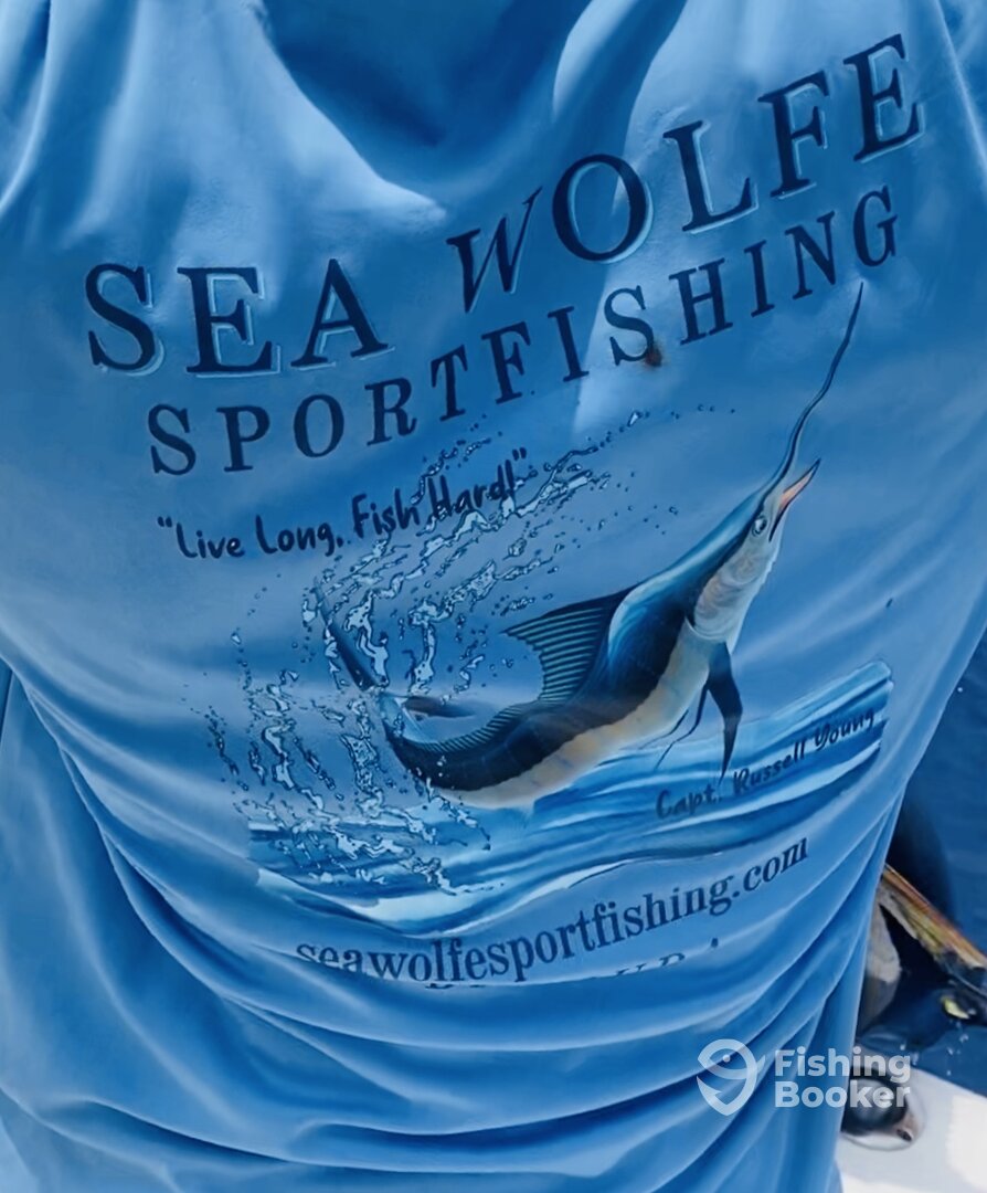 Sandys Report Photo 0