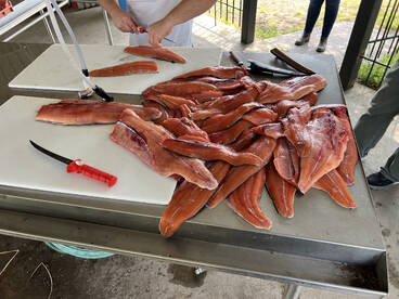 St. Joseph Report Photo 1