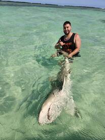 1000% guarantee shark action 
