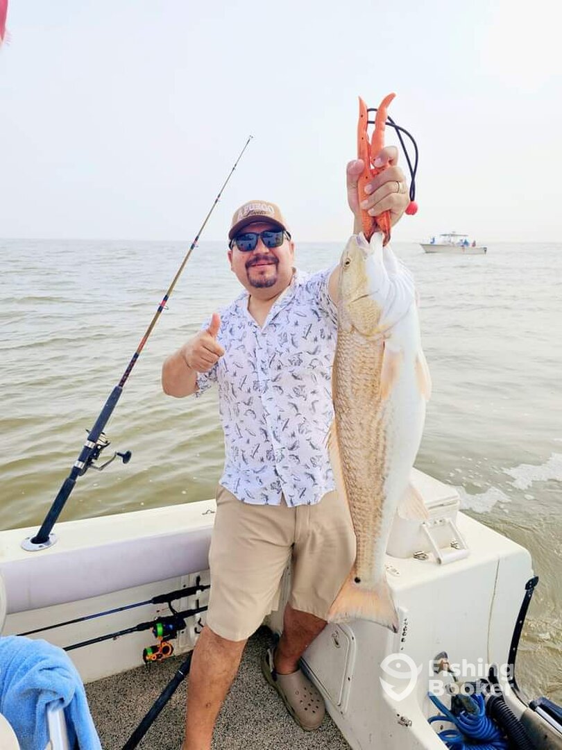 Galveston Report Photo 0