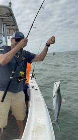 Galveston Report Photo 1