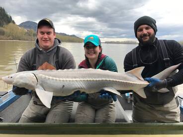 Chilliwack Report Photo 2