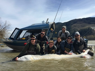 Chilliwack Report Photo 1