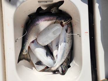 Manistee Report Photo 1