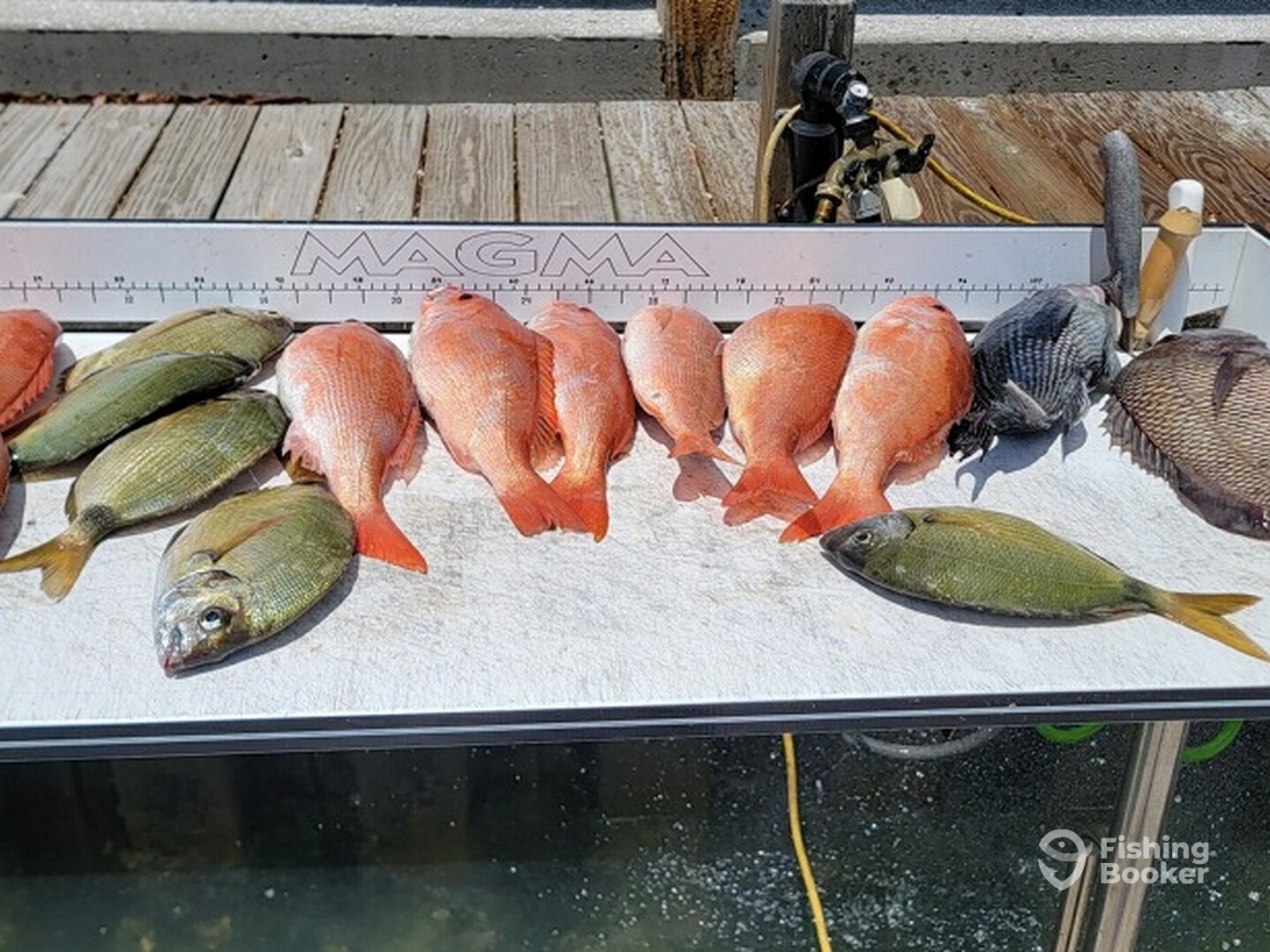 Murrells Inlet Report Photo 0