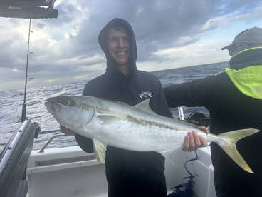 Sydney Report Photo 1