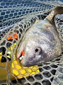 Lakeside Marblehead Report Photo 2
