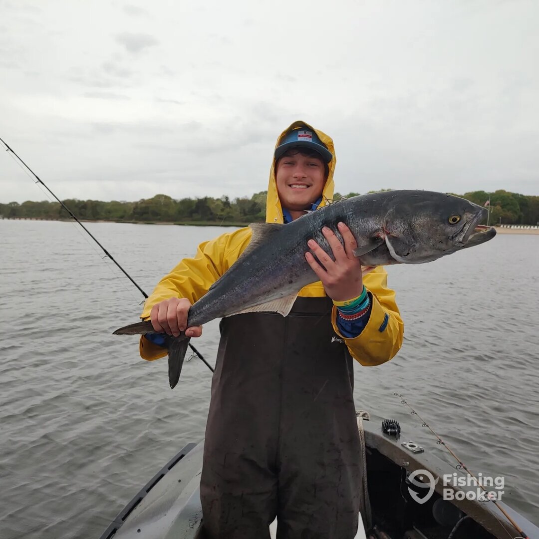 Mastic Report Photo 0