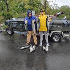 Mastic Report Photo 1