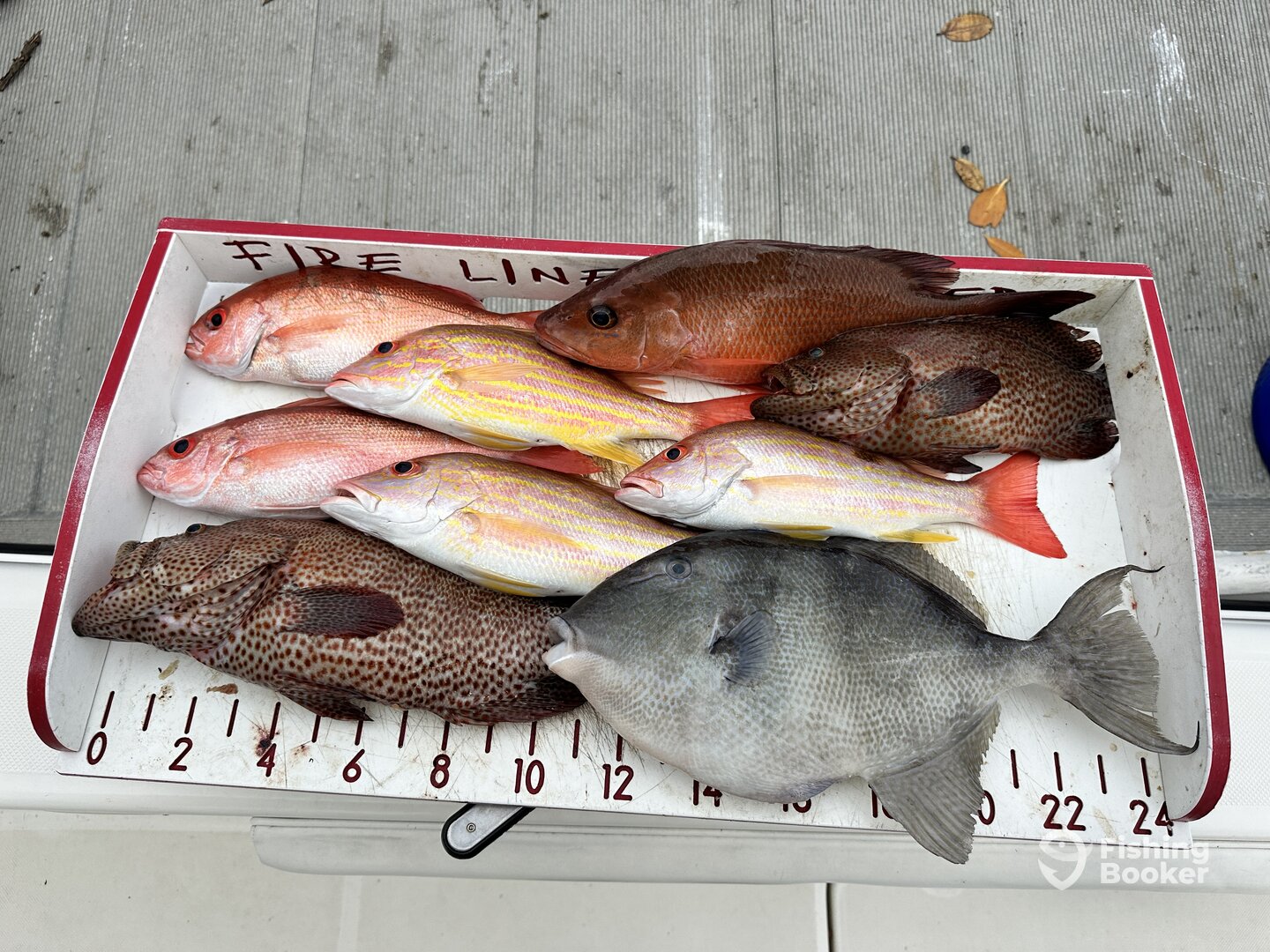 Port Orange Report Photo 0
