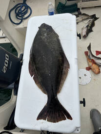 San Diego Report Photo 1