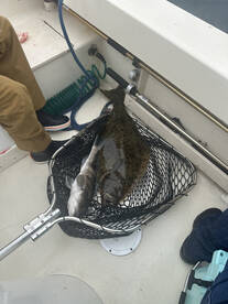 San Diego Report Photo 2