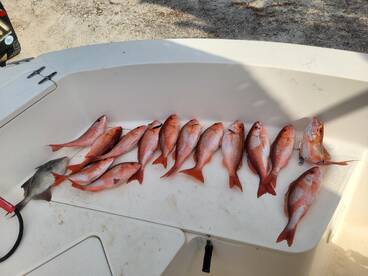 Edisto Beach Report Photo 1
