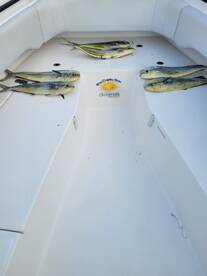 Mahi Hunt