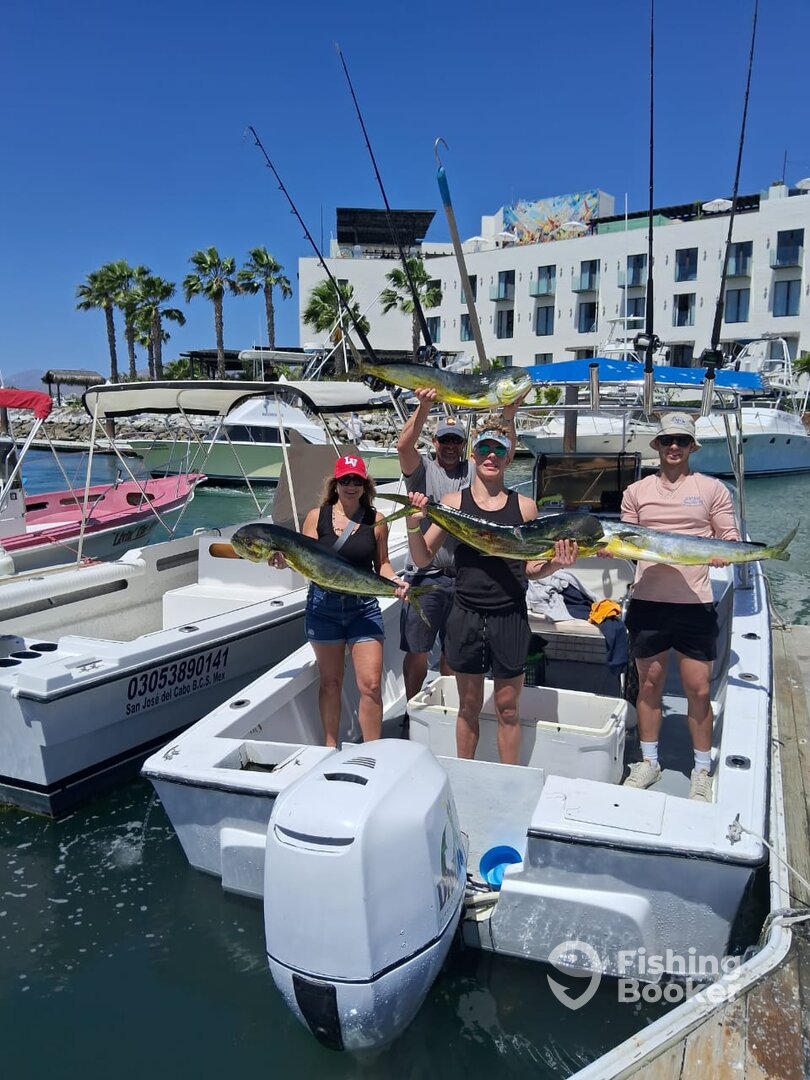 San Jose del Cabo Report Photo 0