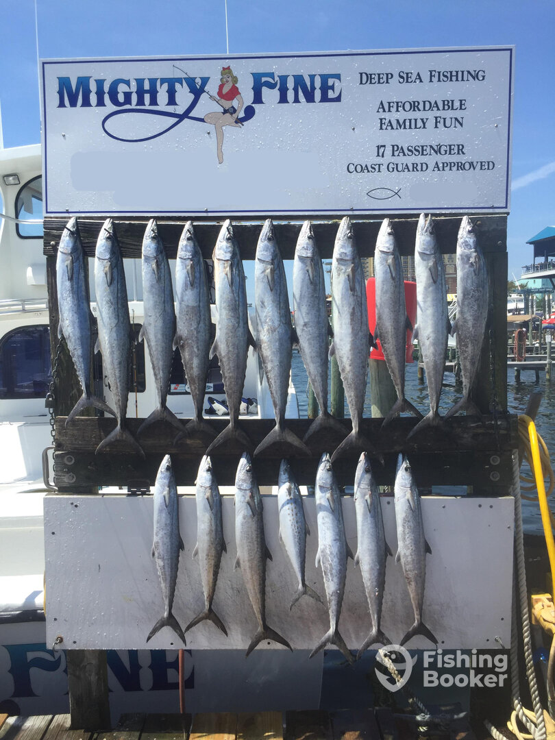 Destin Report Photo 0