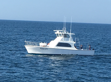 Destin Report Photo 2