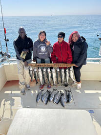 Waukegan is the coho capital of the worl