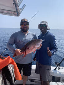Catching BIG snapper on light tackle!
