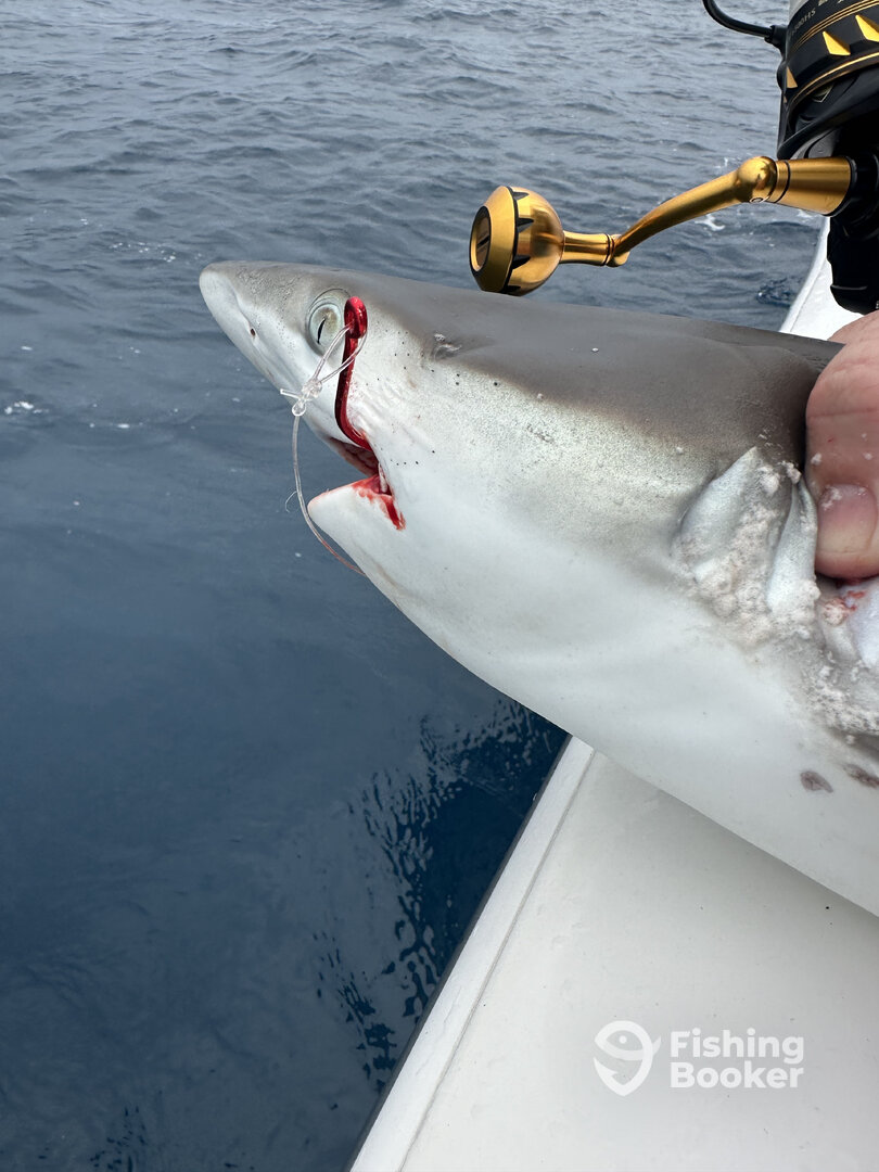 Edgewater Report Photo 0