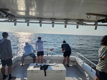 Gulf Shores Report Photo 2