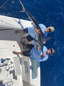Cabo San Lucas Report Photo 1
