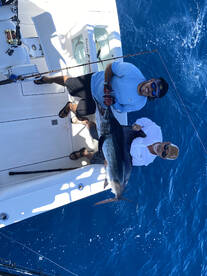 Cabo San Lucas Report Photo 2