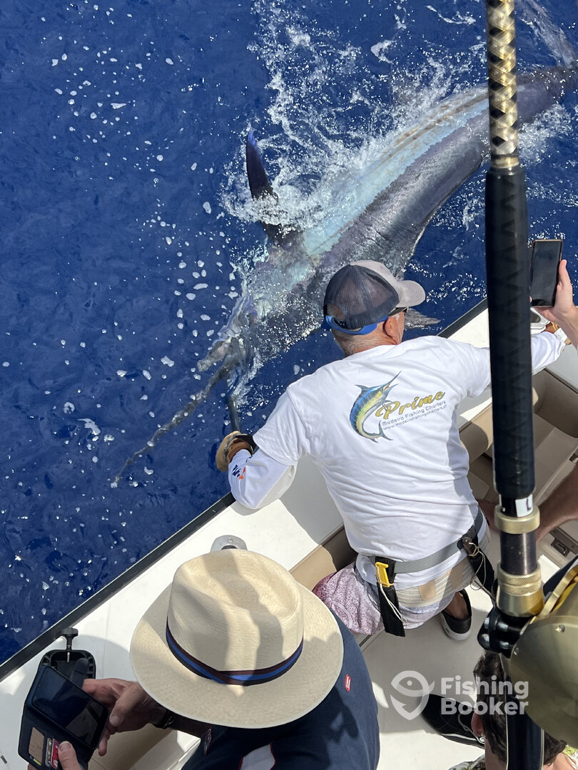 Calheta Report Photo 0