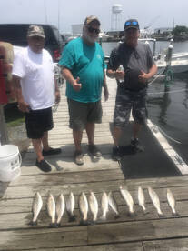 Wanchese Report Photo 1