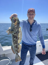 Marina Del Rey Report Photo 2