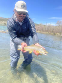 Beaverhead River Fishing Report