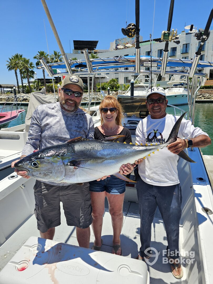 San Jose del Cabo Report Photo 0