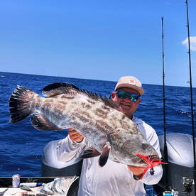 Key West & Dry Tortugas grouper report