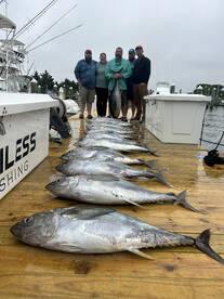 Great Yellowfin tuna fishing