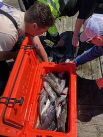Point Pleasant Report Photo 2