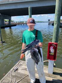 Seabass season in full swing